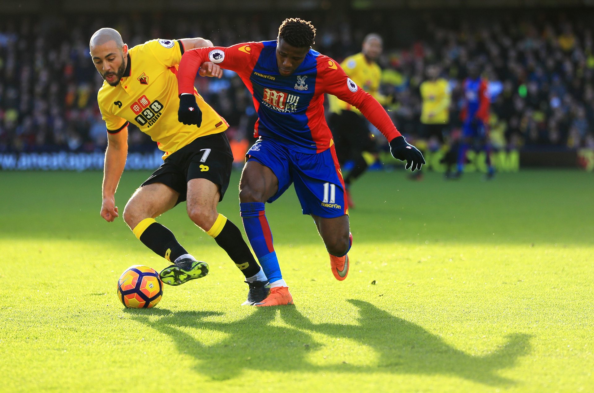 马正在逐渐 马正在逐渐